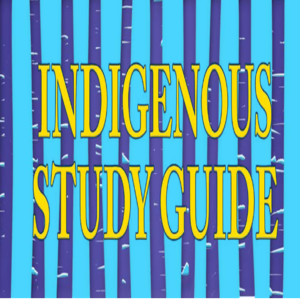 cover image of Indigenous Study Guide
